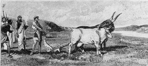 La fundación de Roma. Grabado del siglo XIX. de Unknown artist