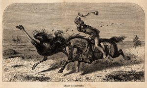 La caza del avestruz, dibujado a partir de una fotografía, para ilustrar la historia de la caza en África por William Charles Baldwin entre 1852 y 1860. Grabado en "Le tour du monde", editado por Edouard Charton de Unknown artist