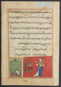 El loro se dirige a Khujasta al comienzo de la cuadragésima séptima noche, de un Tuti-nama (Cuentos de un Loro): Cuadragésima Séptima Noche de Unknown artist