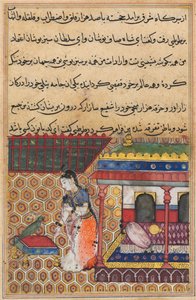 El loro se dirige a Khujasta al comienzo de la trigésima octava noche, de un Tuti-nama (Cuentos de un loro) de Unknown artist