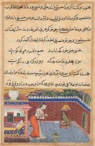 El loro se dirige a Khujasta al comienzo de la trigésima primera noche, de un Tuti-nama (Cuentos de un Loro) de Unknown artist