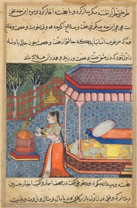 El loro se dirige a Khujasta al comienzo de la trigésima sexta noche, de un Tuti-nama (Cuentos de un loro) de Unknown artist
