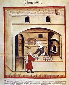 La preparación del pan con mijo. Iluminación del ordeño de medicina y dietética Tacuinum sanitatis de Unknown artist