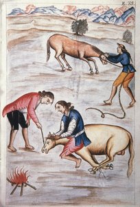 El hierro rojo marcando una yegua, del libro "Trujillo del Perú" o "Códice Martínez Compañón", por Baltazar Martínez Compañón y Bujanda, obispo de Trujillo (1782-1785) de Unknown artist