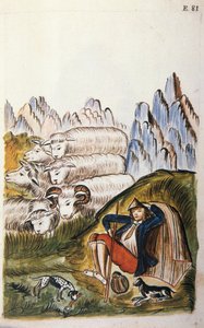 El pastor y su rebaño de ovejas, del libro "Trujillo del Perú" o "Códice Martínez Compañón", por Baltazar Martínez Compañón y Bujanda, obispo de Trujillo (1782-1785) de Unknown artist