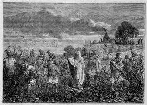 Las viñas arrancadas en las Galias, por orden del emperador Domiciano - en “Las maravillas de la industria” por Louis Figuier, París de Unknown artist