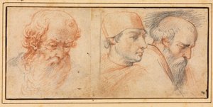Estudios de tres cabezas de Unknown artist