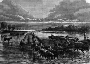 Transporte de barriles de petróleo a Oil Creek, Pensilvania, EE.UU.