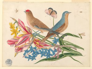 Dos pájaros en una rama de tulipanes con insectos