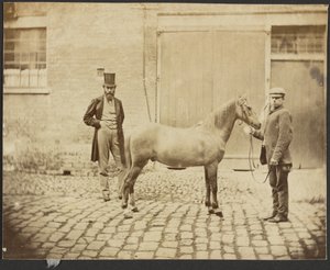 [Dos hombres y un caballo]