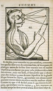 Imagen desconocida