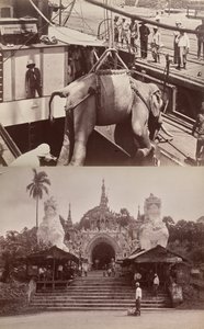 Sin título: (elefante cargado en un barco, recto); (escalones y edificio, verso) de Unknown artist