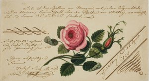 Valentín Sin Título (Flor Rosa) de Unknown artist