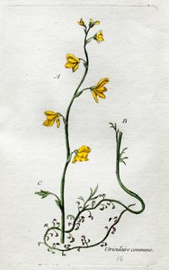  de Unknown artist
