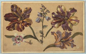 Varios florales de Unknown artist