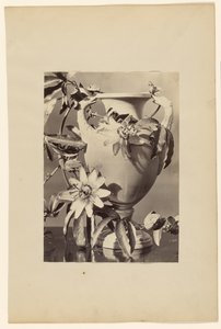 [Jarrón con flores de la pasión] de Unknown artist