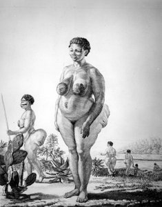 Venus Hotentote de Sudáfrica