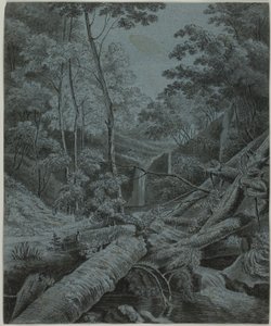 Cascada y troncos caídos en el bosque de Unknown artist
