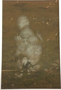 Gallina blanca y pollitos