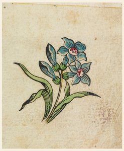 Prueba de Bloque de Madera para un Textil Impreso de Unknown artist