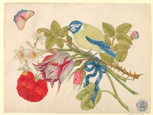 Pájaro amarillo y azul en ramo con rosa, tulipanes y narcisos, con mariposas