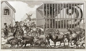 Zoomorfismo - Caricatura contra María Antonieta - Partida del Harpía o monstruo anfibio de Cádiz para ser llevado al rey y la familia real de España: Este animal fue capturado en las orillas del lago Fagua - 1784 de Unknown artist