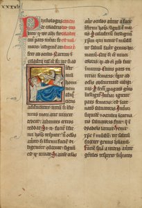 Aves Caladrius