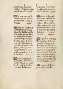 Página de texto