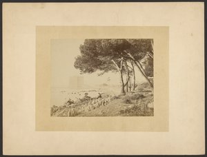[Vista de la Abadía de Lérins, vista desde Cannes]