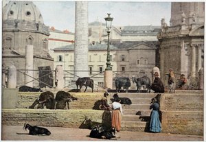 Roma antigua: vista del Foro Romano. Italia, finales del siglo XIX. de Unknown photographer