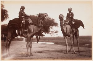 Camel Sowars en el Campamento de Ejercicios de Delhi de Unknown photographer