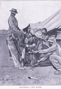 Curando un caballo enfermo, de After Pretoria: The Guerilla War publicado por Harmsworth Bros Limited de Unknown photographer