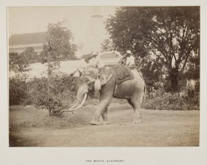 Fotografía en álbum de fotografías
