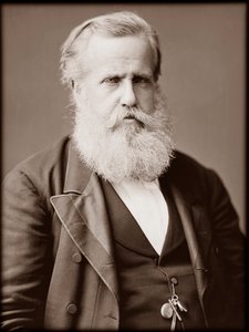 Retrato de Dom Pedro II, Emperador de Brasil