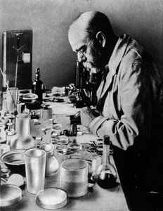 Retrato del médico alemán Robert Koch (1843-1910) en su laboratorio.