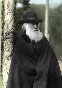 Retrato fotográfico de Charles Darwin (1809 - 1882), naturalista inglés en 1881