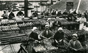 Industria sardinera, Finisterre, Bretaña (foto b/n) de Unknown photographer