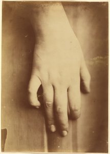 Estudio de una mano,1865 (foto) de Unknown photographer