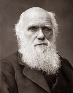 El naturalista inglés Charles Robert Darwin (1809-1882) de Unknown photographer