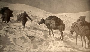 Las posiciones francesa e italiana tienen más de 2 metros de nieve sobre el nivel del mar de Unknown photographer