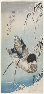 (Pato y juncos nevados), principios de la década de 1830