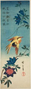 (Facsímil?) Oriol de nuca negra y clemátide de Utagawa Hiroshige