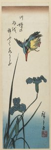 (Iris y Martín Pescador), 1843-1847