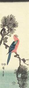 (Loro en pino), 1847-1852