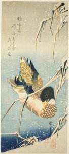 Un pato salvaje nadando junto a una orilla cubierta de nieve bajo juncos cargados de nieve de Utagawa Hiroshige