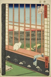 Campos de arroz de Asakusa y festival de Torinomachi (Asakusa tanbo Torinomachi mode), de la serie "Cien vistas famosas de Edo (Meisho Edo hyakkei)" de Utagawa Hiroshige