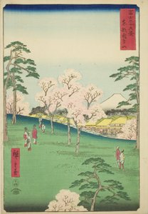 Colina Asuka en la capital oriental (Toto Asukayama), de la serie "Treinta y seis vistas del Monte Fuji (Fuji sanjurokkei)"