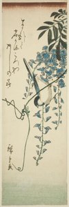 Pájaro y glicinia de Utagawa Hiroshige