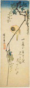 Pájaro en glicinia sedosa de Utagawa Hiroshige