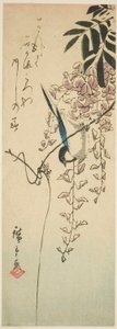 Pájaro en glicinia de Utagawa Hiroshige